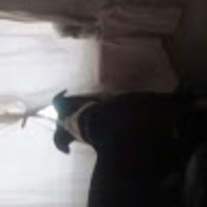 Meet your Posher, Lupe